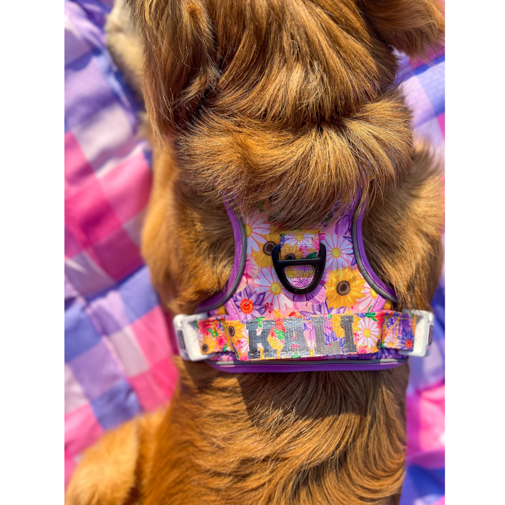 Big & Little Dogs All Rounder Harness: Spring Fling
