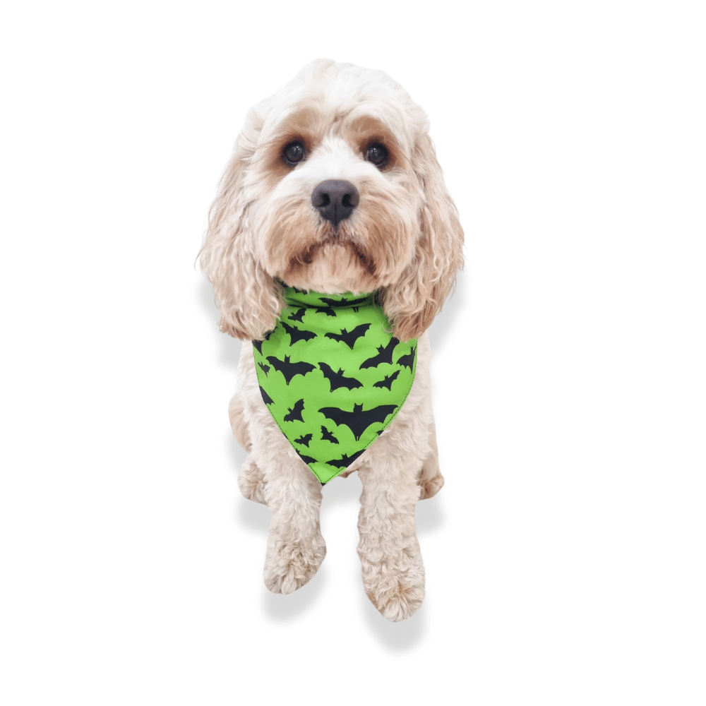 Starry Bats Reversible Dog Bandana