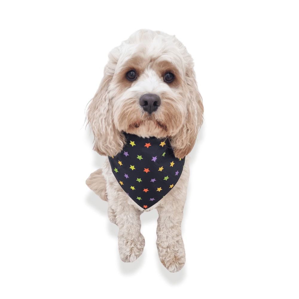 Starry Bats Reversible Dog Bandana