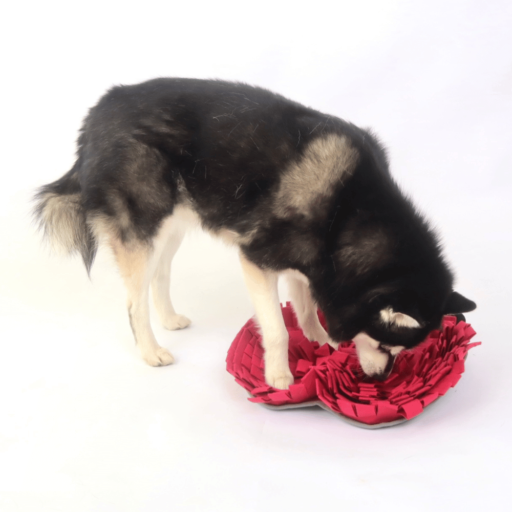 Red Apple Snuffle Mat