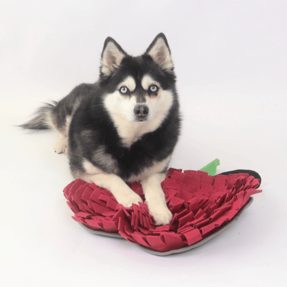 Red Apple Snuffle Mat