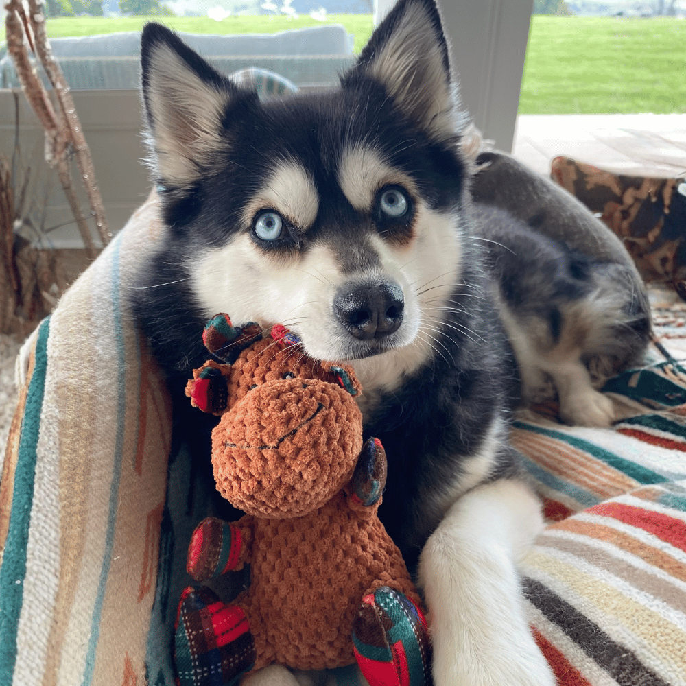 Reindeer Plush Plaid Dog Toy