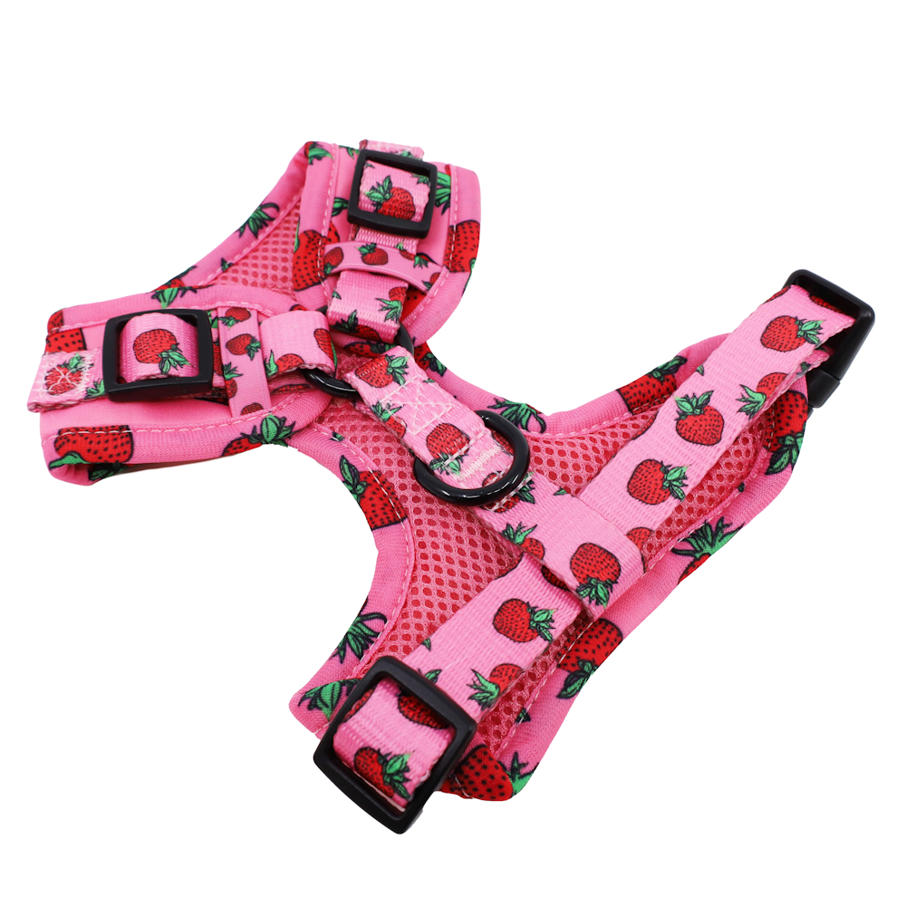 Pablo & Co Strawberries Adjustable Harness