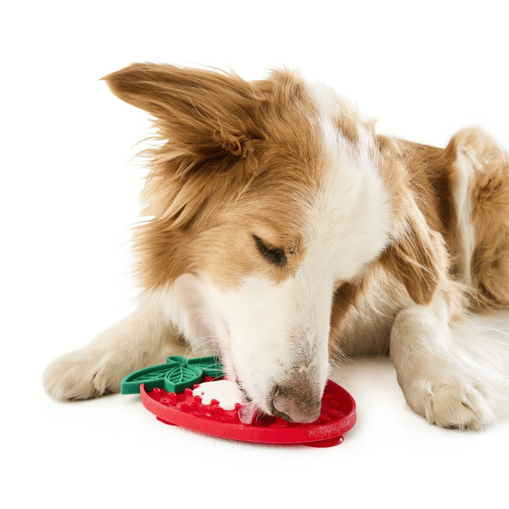 Strawberry Dog Lick Mat