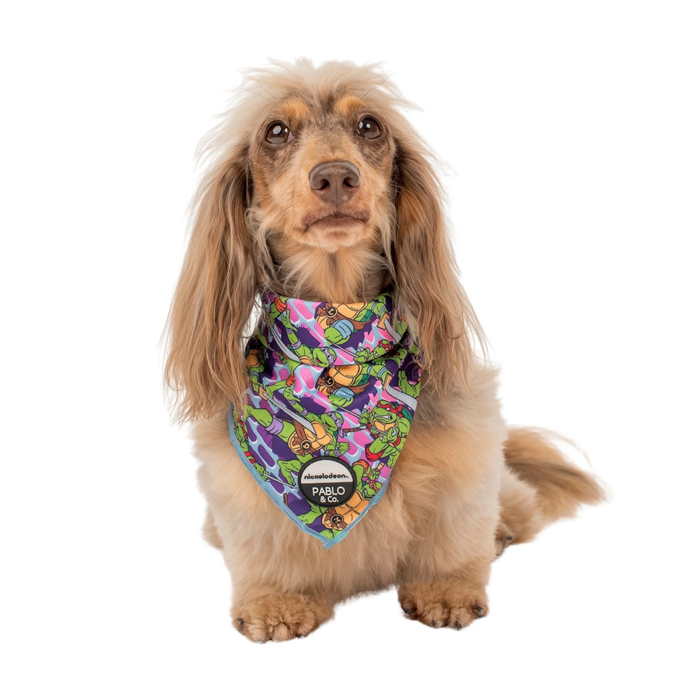 Pablo & Co: TMNT - Mutant Mayhem Dog Bandana