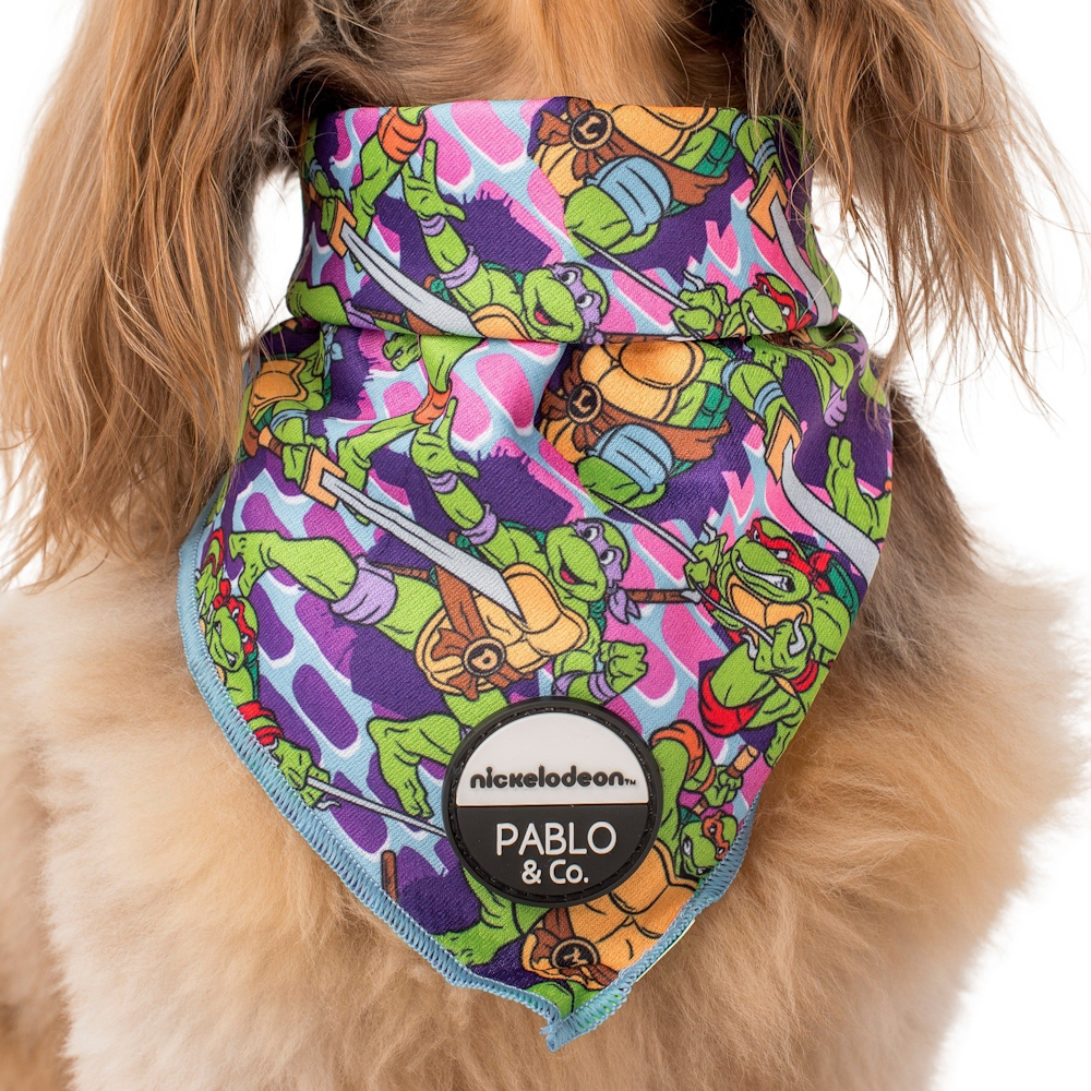 Pablo & Co: TMNT - Mutant Mayhem Dog Bandana