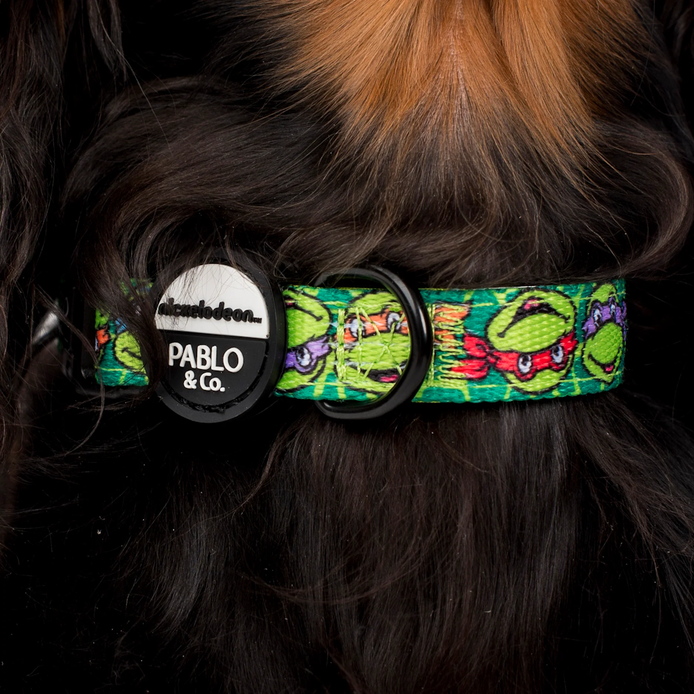 Pablo & Co: TMNT - Mutant Mayhem Dog Collar