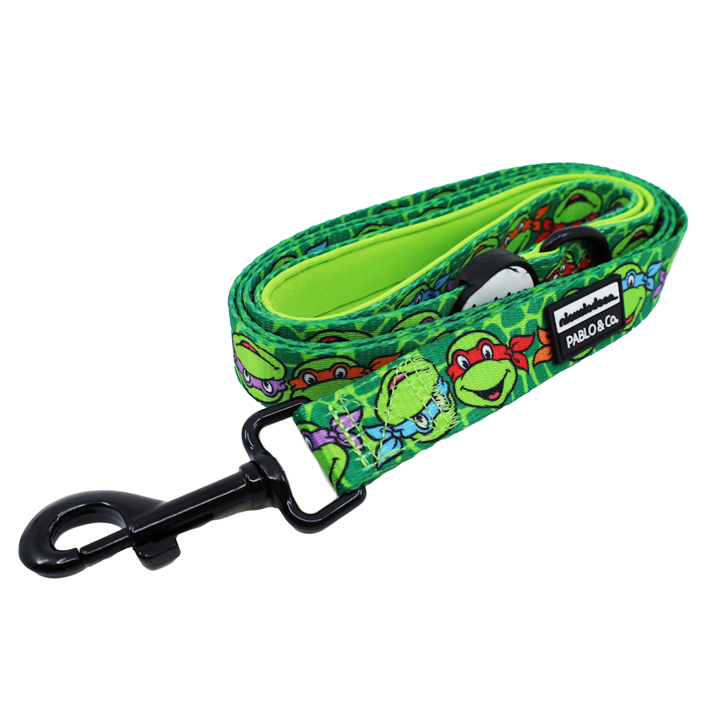 Pablo & Co: TMNT - Mutant Mayhem Dog Leash