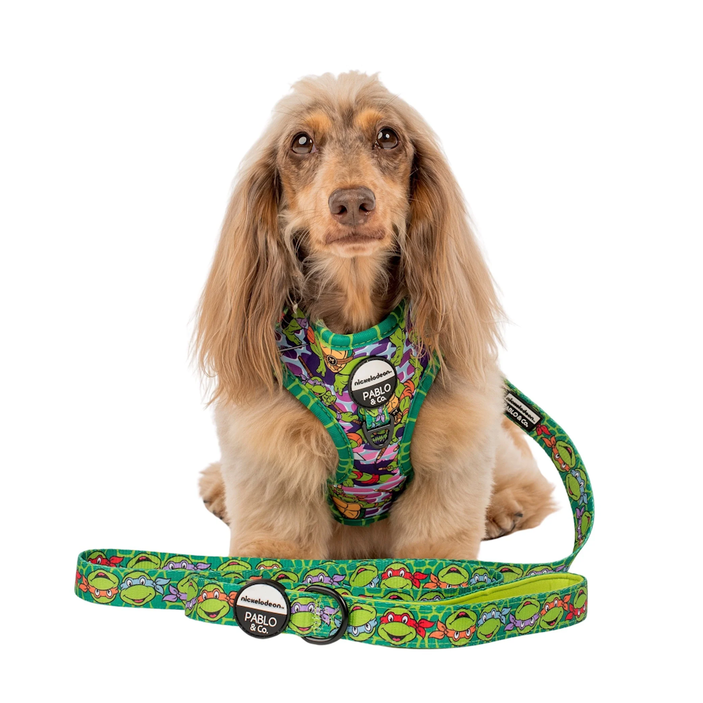 Pablo & Co: TMNT - Mutant Mayhem Dog Leash