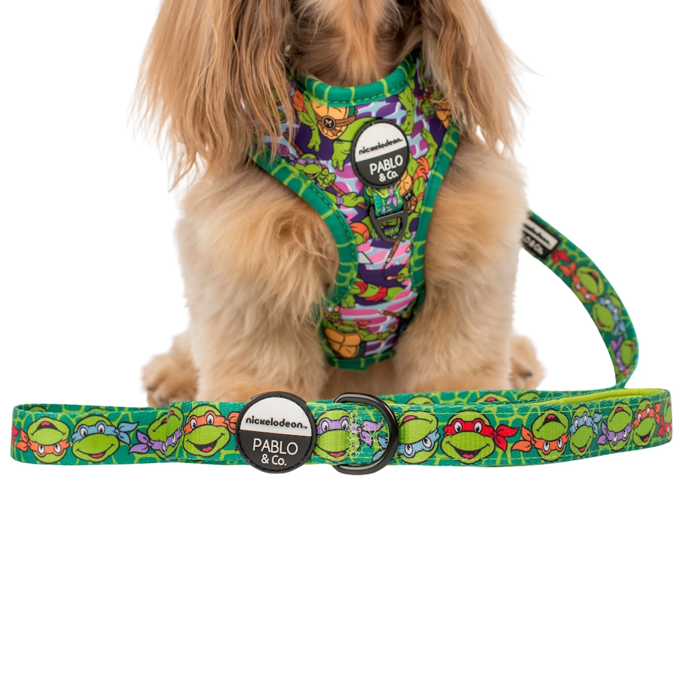 Pablo & Co: TMNT - Mutant Mayhem Dog Leash