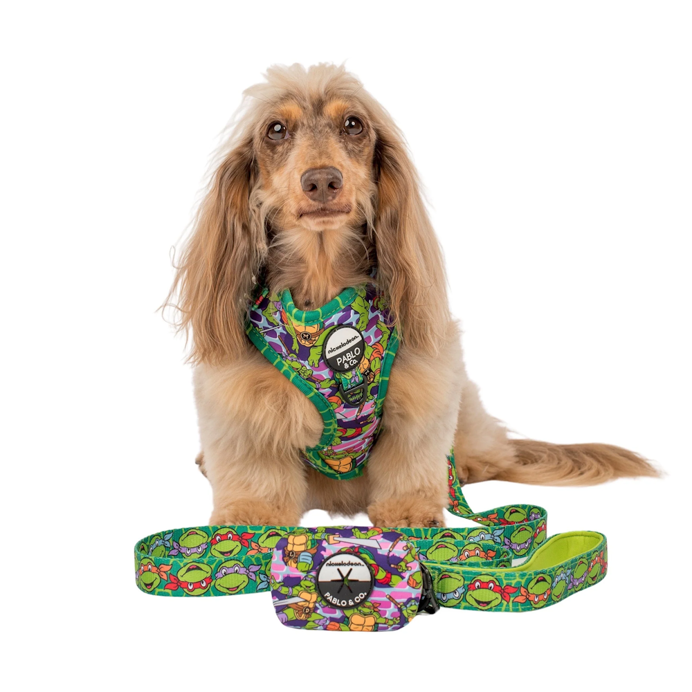 Pablo & Co: TMNT - Mutant Mayhem Dog Poop Bag Holder