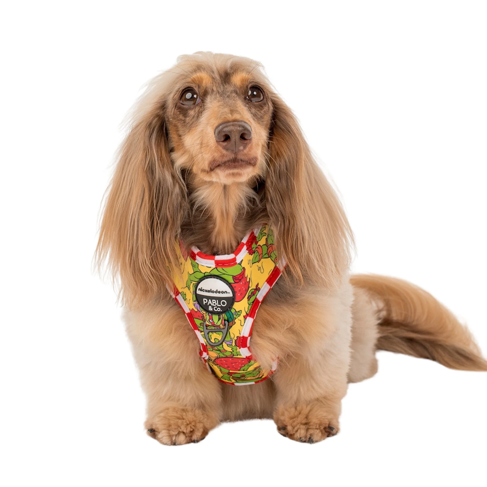 Pablo & Co: TMNT - Pizza Party Adjustable Harness