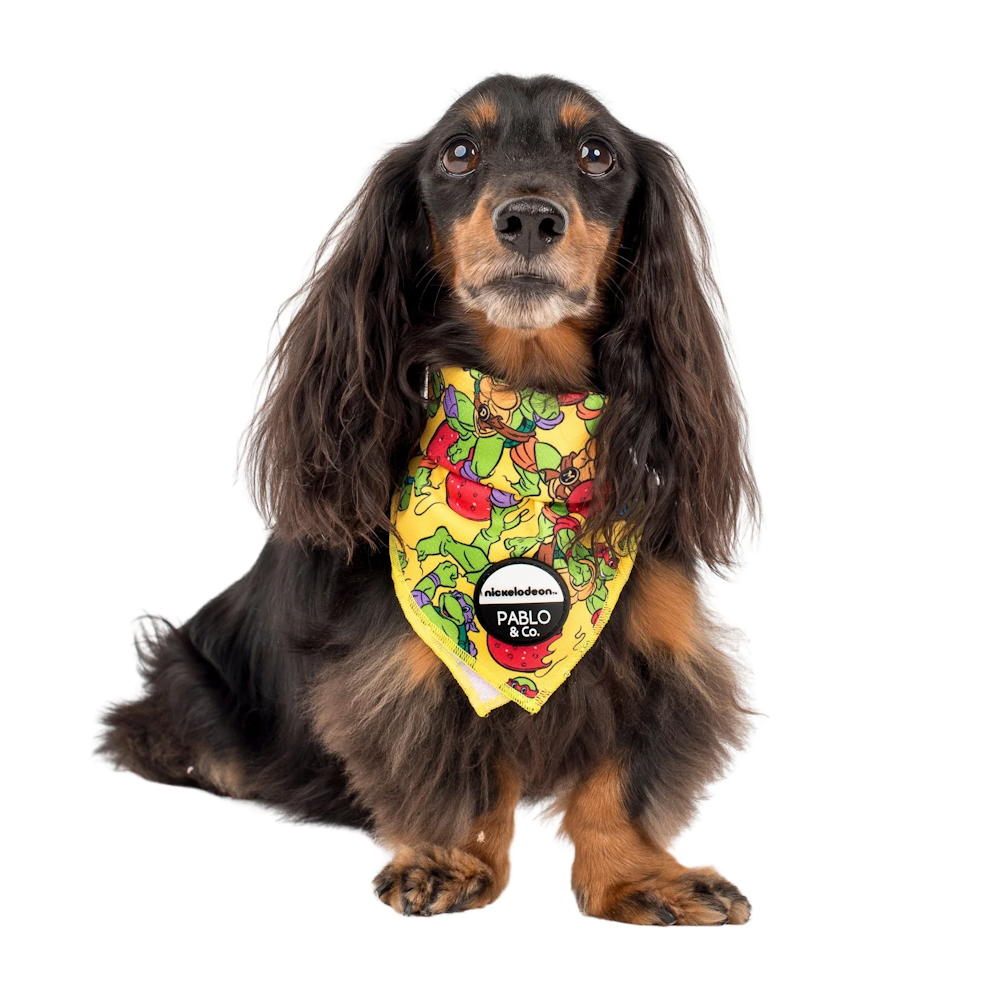 Pablo & Co: TMNT - Pizza Party Dog Bandana