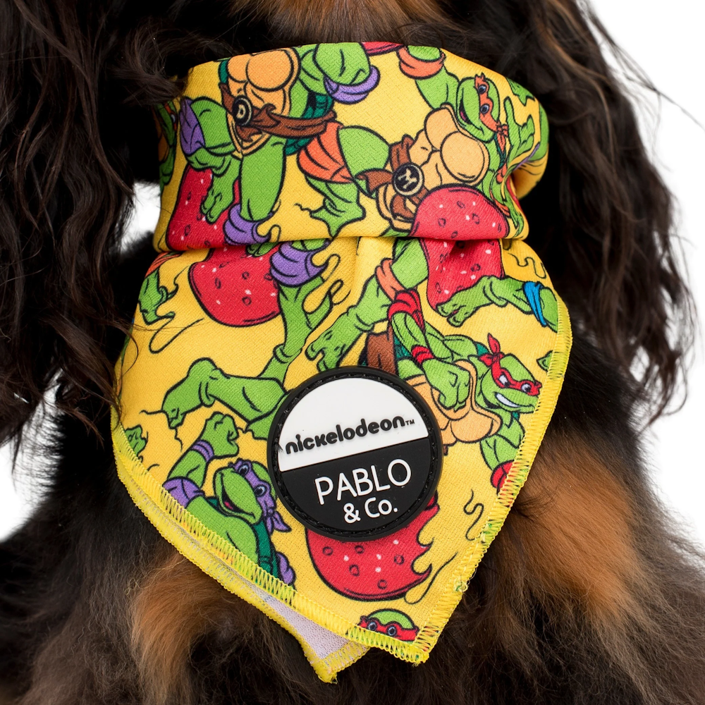 Pablo & Co: TMNT - Pizza Party Dog Bandana