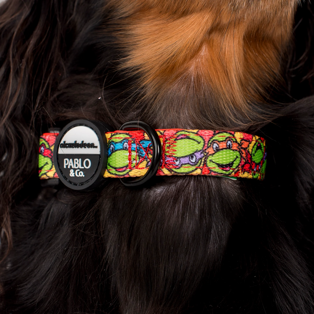 Pablo & Co: TMNT - Pizza Party Dog Collar