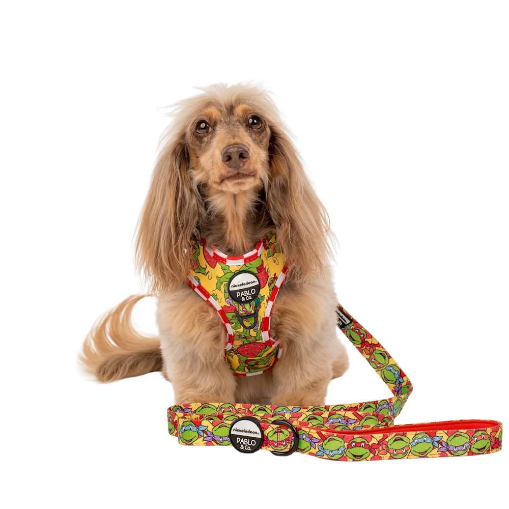 Pablo & Co: TMNT - Pizza Party Dog Leash