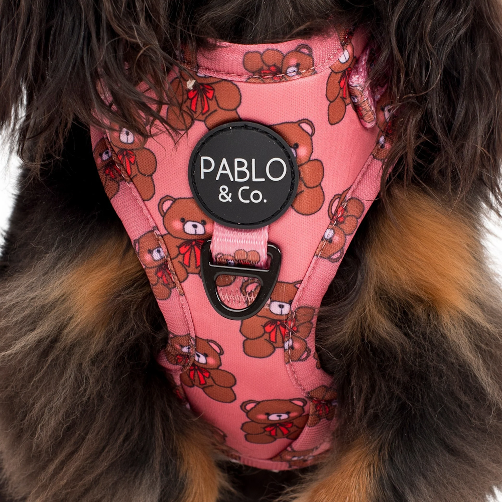 Pablo & Co Teddies Adjustable Harness