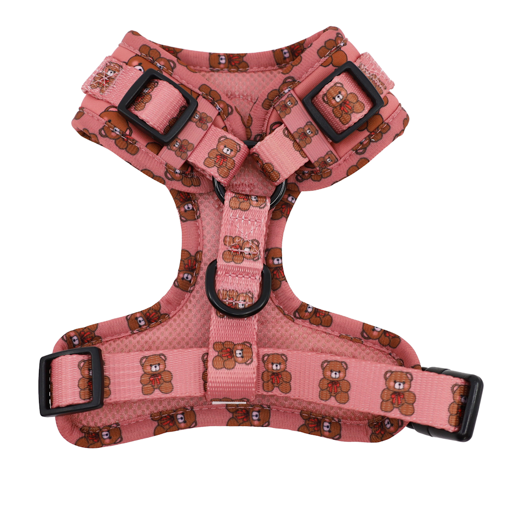 Pablo & Co Teddies Adjustable Harness