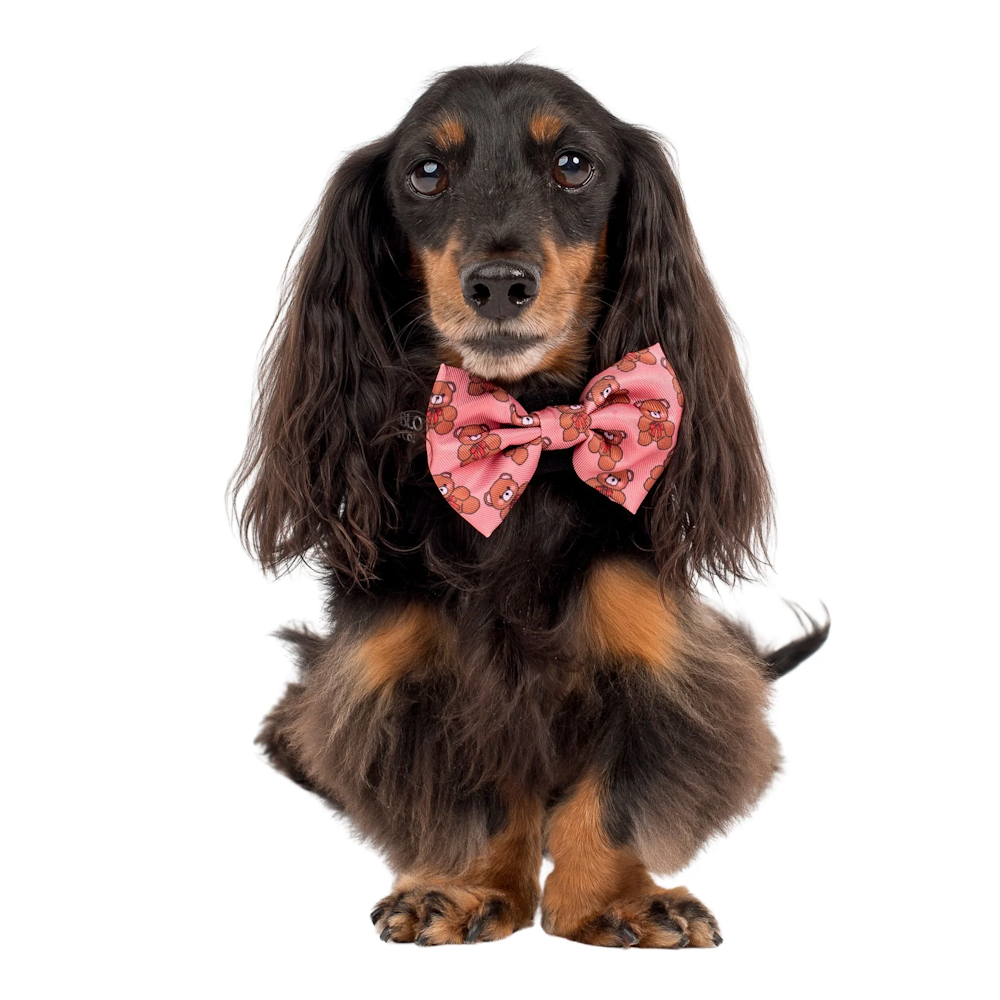 Pablo & Co Teddies Bow Tie