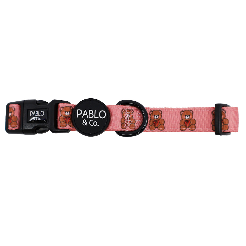 Pablo & Co Teddies Dog Collar