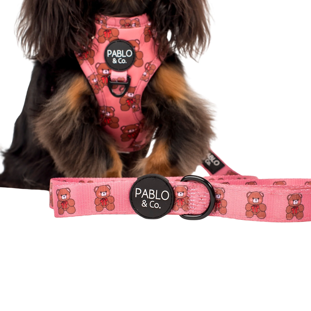 Pablo & Co Teddies Dog Leash