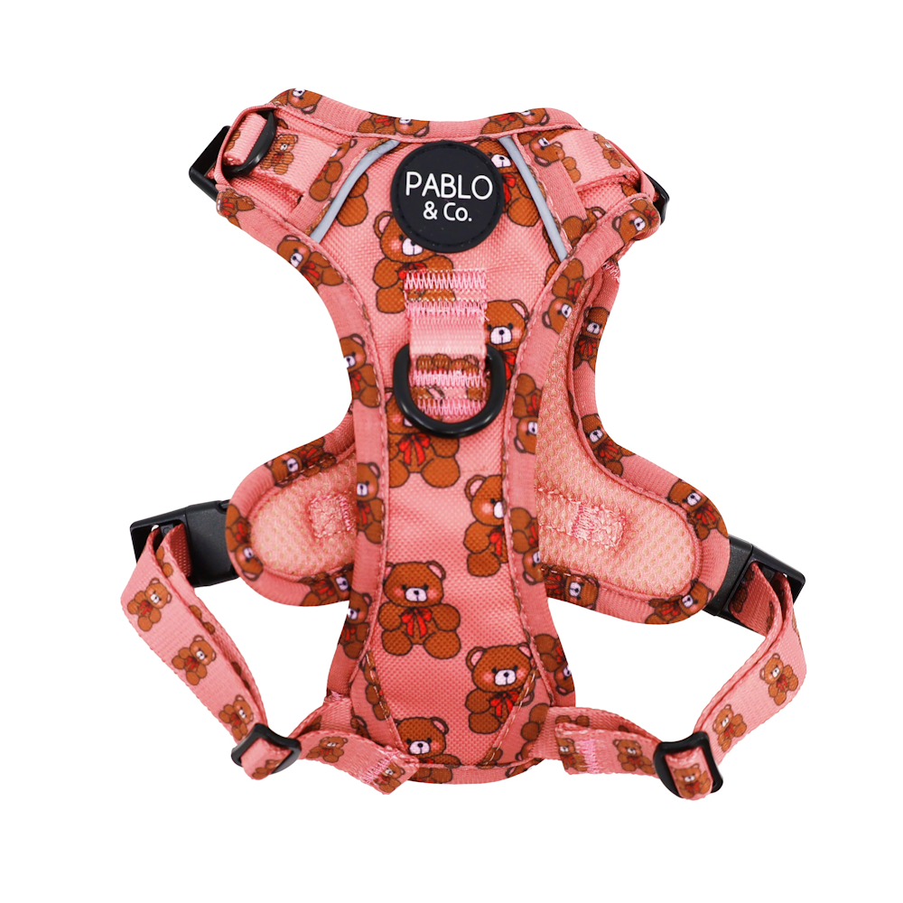 Pablo & Co Teddies No Pull Harness