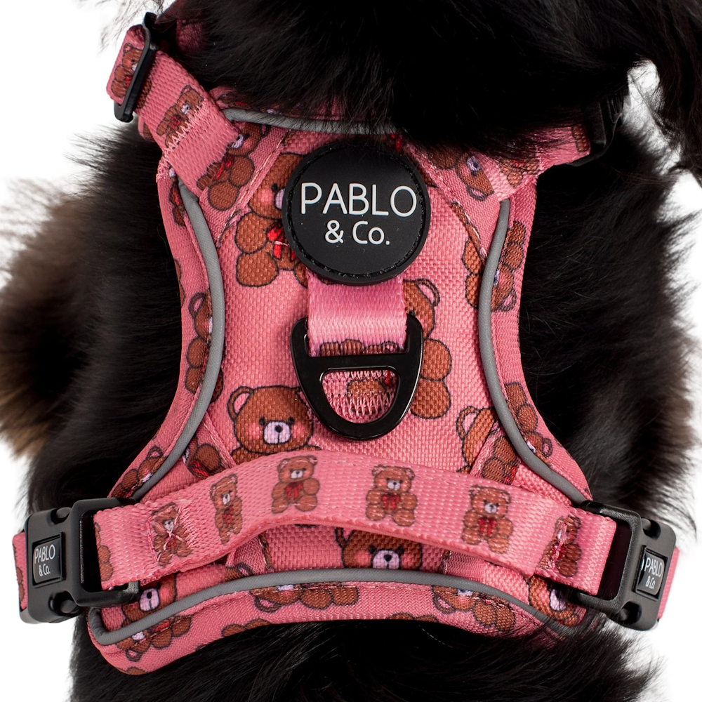 Pablo & Co Teddies No Pull Harness