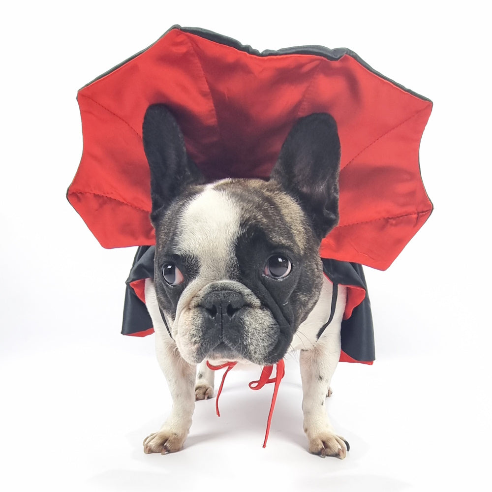 Dracula Cape Dog Costume