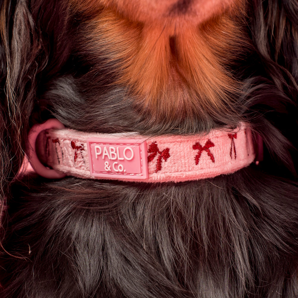 Pablo & Co Velvet Blush Bows Dog Collar