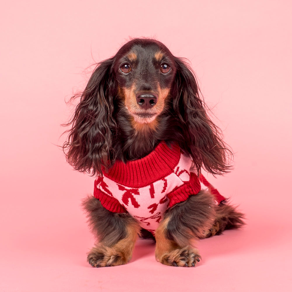 Pablo & Co Velvet Blush Bows Sweater