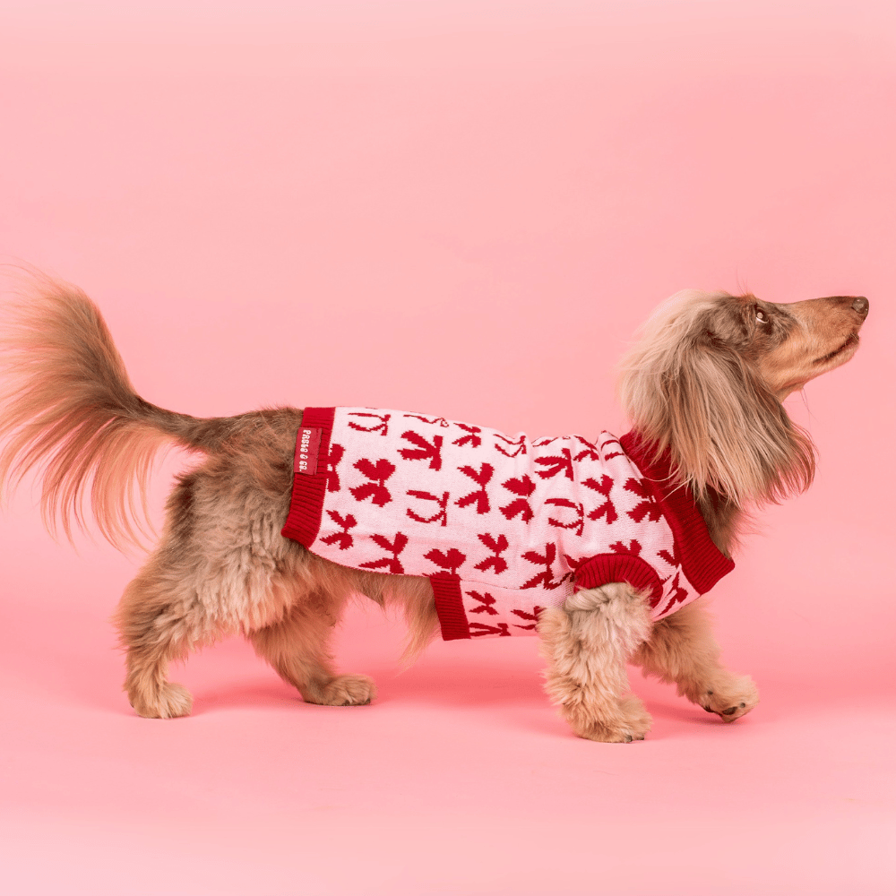 Pablo & Co Velvet Blush Bows Sweater