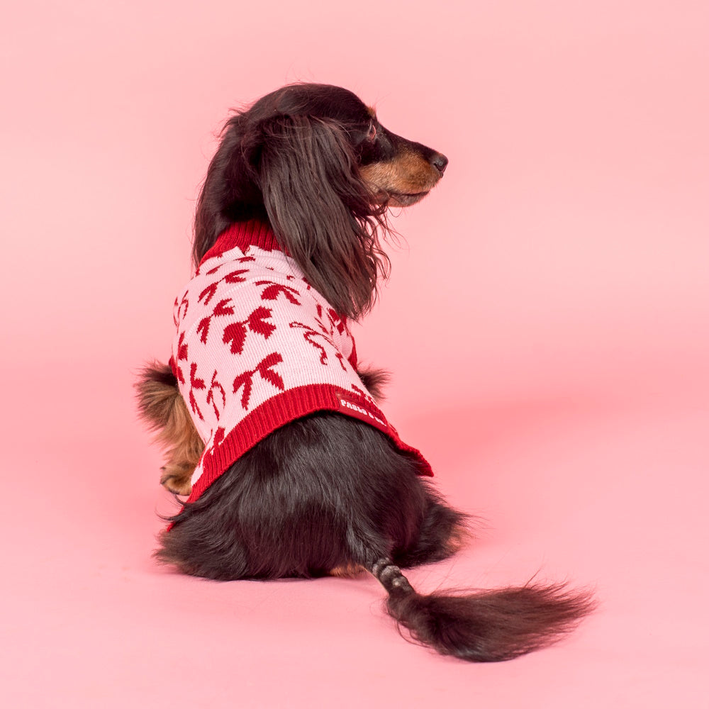 Pablo & Co Velvet Blush Bows Sweater
