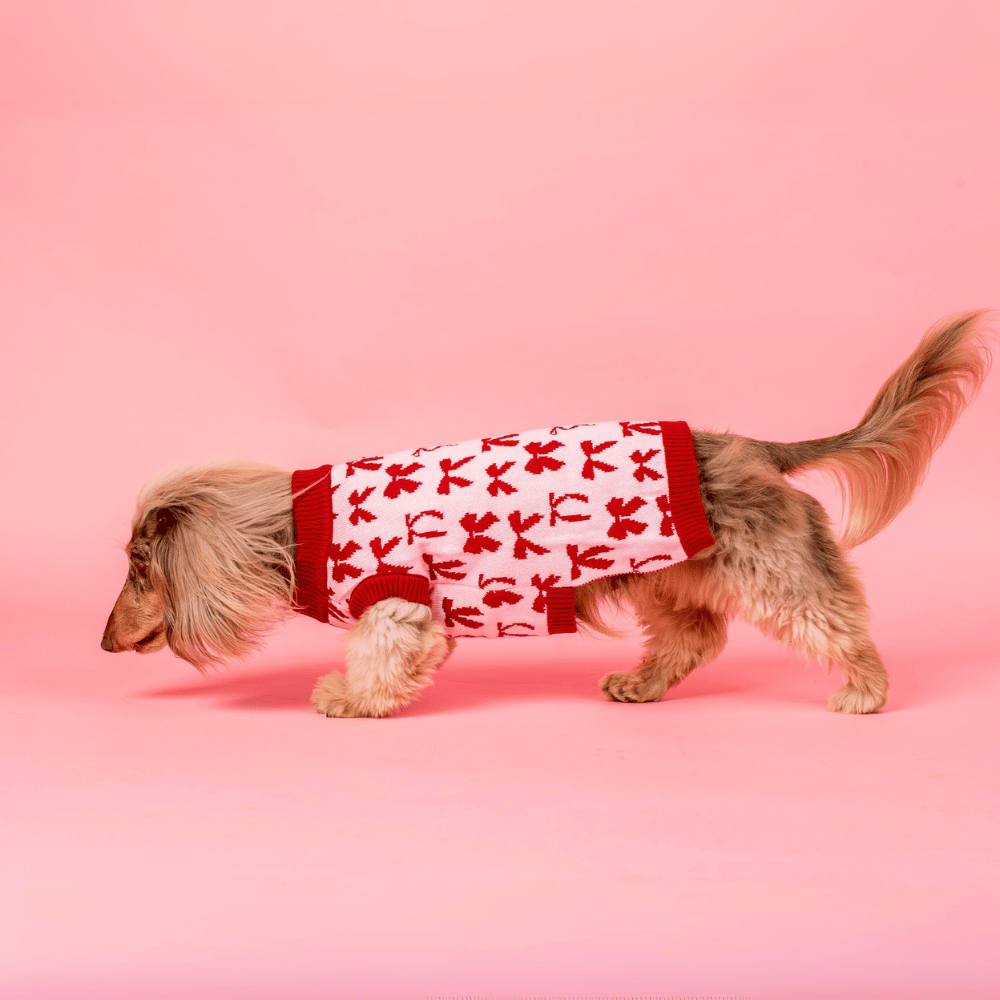 Pablo & Co Velvet Blush Bows Sweater