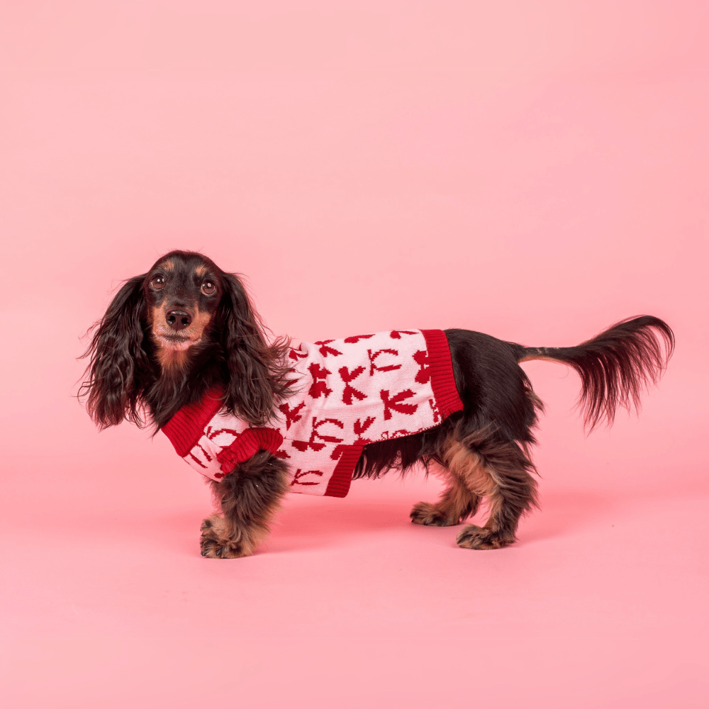 Pablo & Co Velvet Blush Bows Sweater