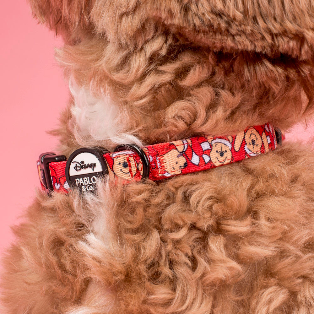 Pablo & Co Winnie the Pooh Christmas: Dog Collar