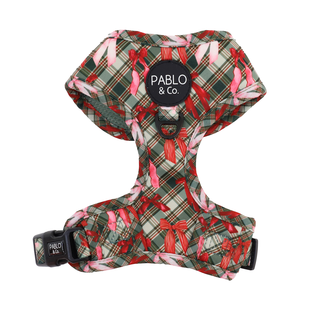 Pablo & Co Wrapped in Ribbons Adjustable Harness