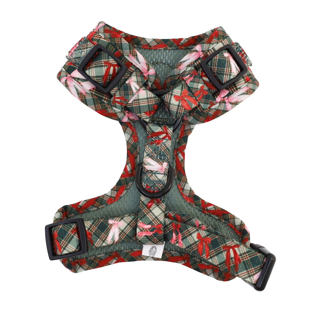 Pablo & Co Wrapped in Ribbons Adjustable Harness