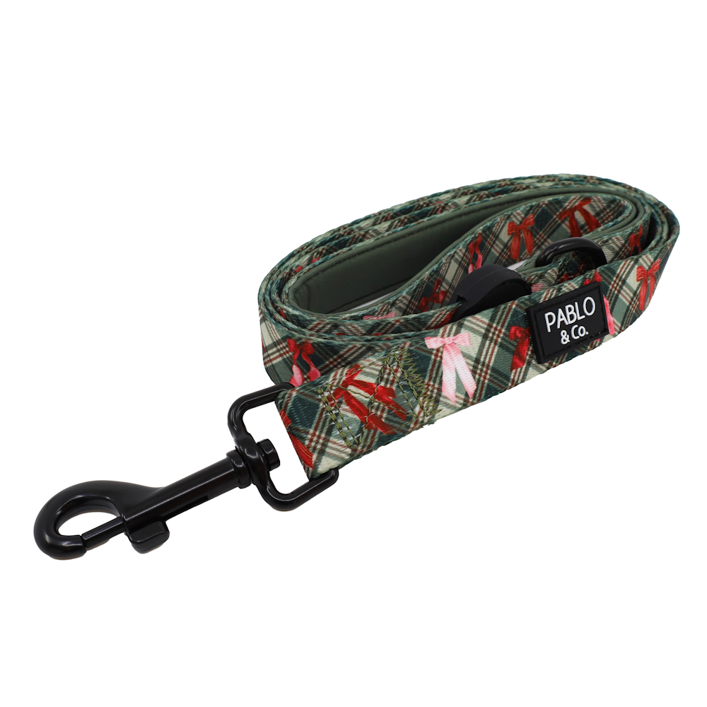 Pablo & Co Wrapped in Ribbons Dog Leash