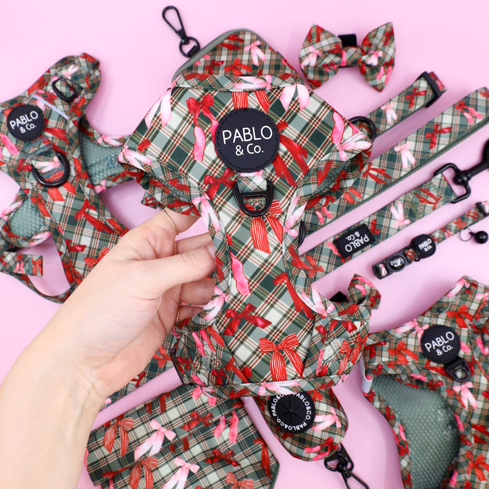 Pablo & Co Wrapped in Ribbons Adjustable Harness