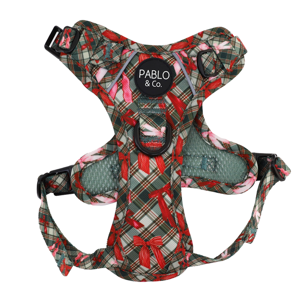 Pablo & Co Wrapped in Ribbons No Pull Dog Harness