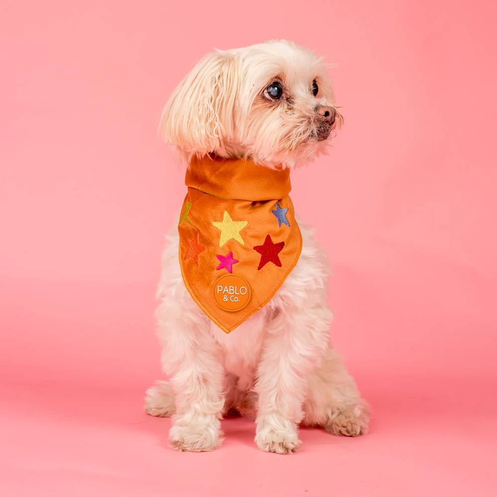 Pablo & Co You're A Star Bandana Velvet
