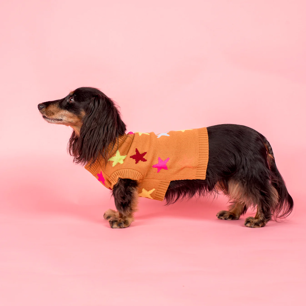 Pablo & Co You're A Star Sweater