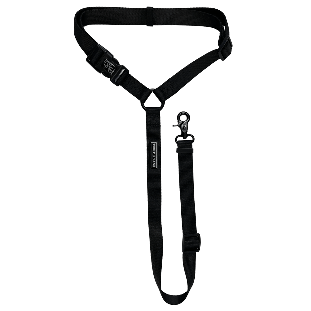 Big & Little Dog Premium Car Headrest Restraint - Black - Car Restraints from Big & Little Dogs at DoggyTopia