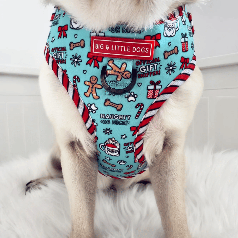 Big & Little Dogs Adjustable Harness: Official Gift Sniffer - Adjustable Harnesses from Sale at DoggyTopia