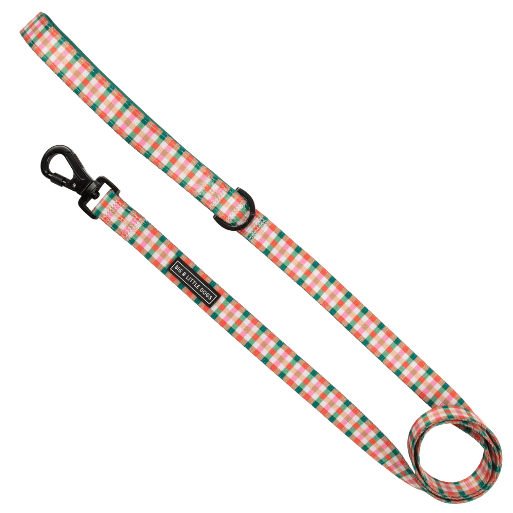Big & Little Dogs Candy Lane Plaid Dog Leash - Leashes & Leads from Sale at DoggyTopia