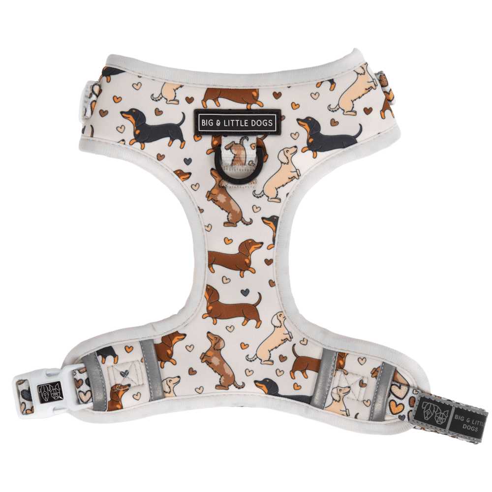 Big & Little Dogs Dashie Lovers Adjustable Harness - Adjustable Harnesses from Sale at DoggyTopia