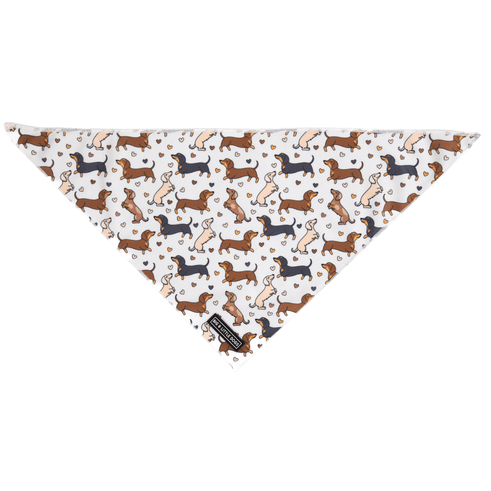 Big & Little Dogs Dashie Lovers Bandana - Bandanas from Sale at DoggyTopia