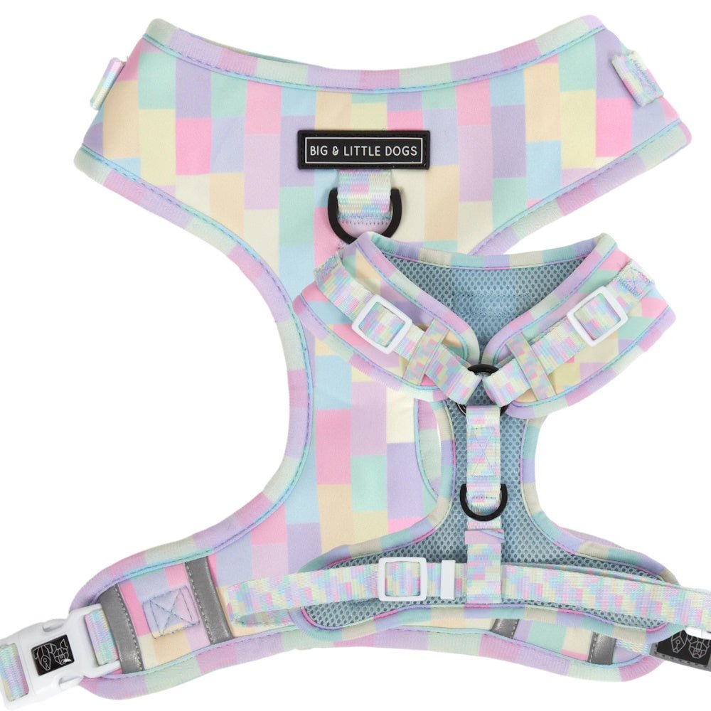 Big & Little Dogs Gelato Adjustable Harness - Adjustable Harnesses from Big & Little Dogs at DoggyTopia