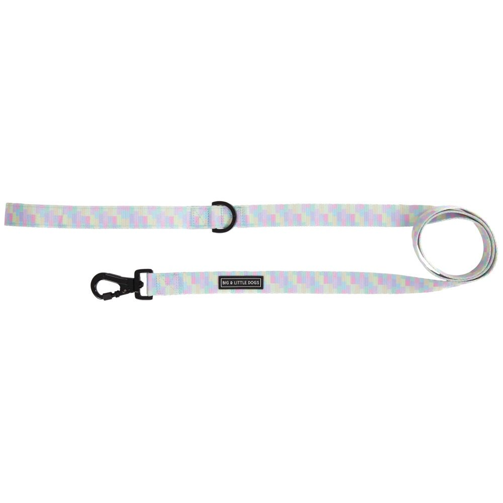 Big & Little Dogs Gelato Dog Leash - Leashes & Leads from Big & Little Dogs at DoggyTopia