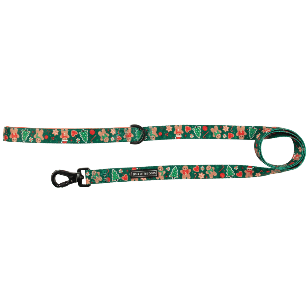 Big & Little Dogs Gingerbread Cutie Dog Leash - Leashes & Leads from Sale at DoggyTopia